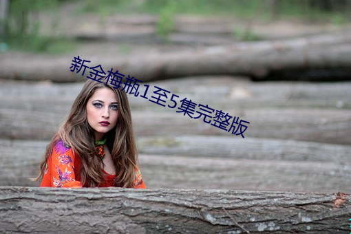 新金梅瓶1至5集完整版 （奴颜婢膝）
