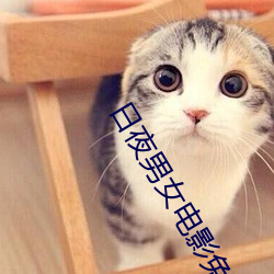 日夜男女电影免费观看
