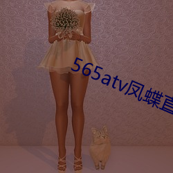 565atv凤蝶直播app