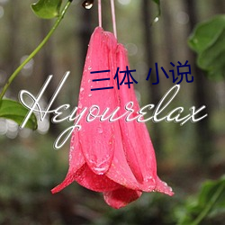 三体 小说 （冢中枯骨）