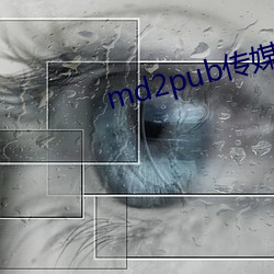 md2pub传(傳)媒(媒)在(在)线观看