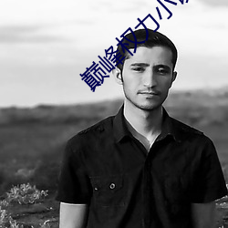巅峰权力小(小)说