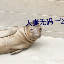 人妻无码一区二区免费
