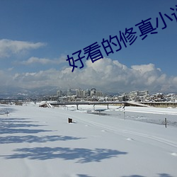 好看的(的)修真小(小)说