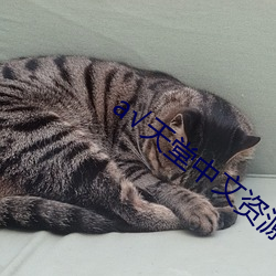 √天(天)堂中文资(資)源