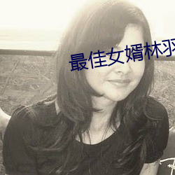 最佳女婿林羽江颜免费全文