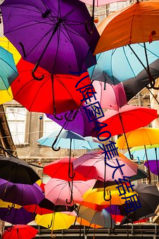 八阵图40集大结局