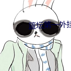 篮(籃)坛第一外挂