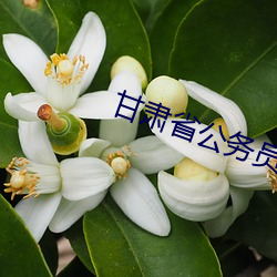 甘(gān)肃省(shěng)公务(wù)员(yuán)网(wǎng)络培训网