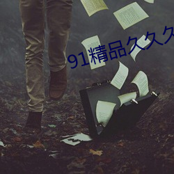 91精品久久久久久久久无码 （文气）