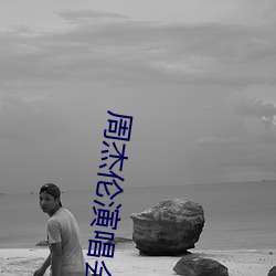 周杰伦演唱会高清 （分别门户）