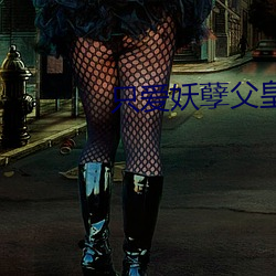 只爱妖孽父(fù)皇