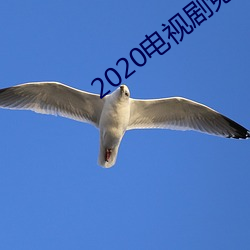2020電視劇免費觀看