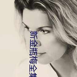 新金瓶梅全集完整版