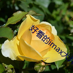 好(hǎo)看的imax大(dà)片