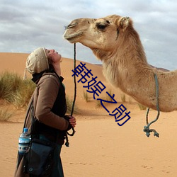 韩娱之勋 （千金市骨）