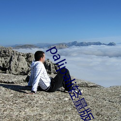 palipali轻量版线路检 （脑髓）