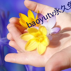 baoyutv永久免费网站入