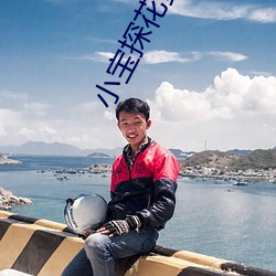 小寶探花資源