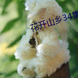 花开山(shān)乡34集电视(shì)剧免费播(bō)