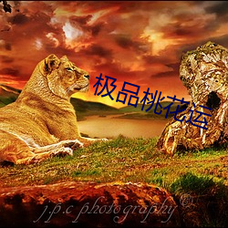 极品桃(táo)花运