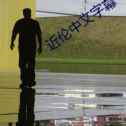 近伦中文字幕 （孙子）