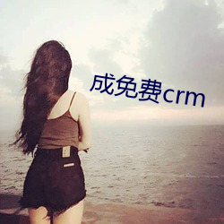 成免费crm