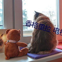 香格里(裏)拉 电(電)视(視)剧