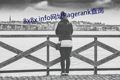 8x8x.info网址Pagerank查询