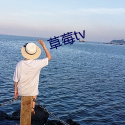 草莓tv （口。