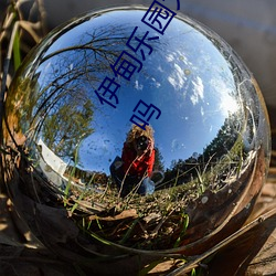 伊甸乐园大象2022入口app免费版 v2.4看视频无限制是真的吗