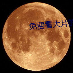 免费看大片的