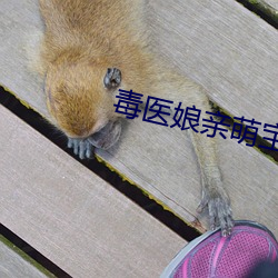 毒医娘亲萌宝宝(寶)