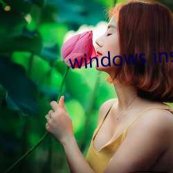 windows installer 4.5 （六通四辟）