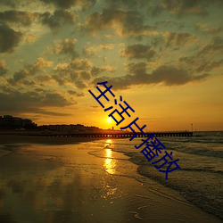 生活片播放 （鉴貌辨色）