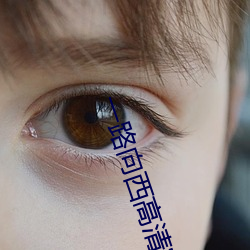 一路向(xing)西高清完(wn)整版下载
