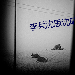 李兵(兵)沈思沈晴