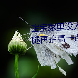 宝宝(寶)家(家)里没人叫大点(點)声厨(廚)房(房) 宝(寶)宝腿再(再)抬高一(一)点(點)好