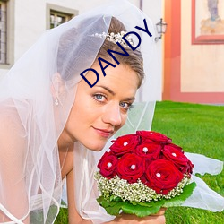 DANDY