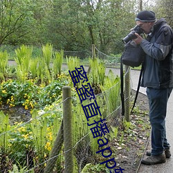 蜜蜜直播app軟件下載