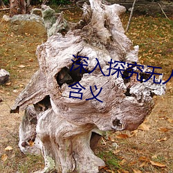 深入探究無人區的一碼二碼三碼含義