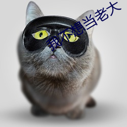 我不想当老大 （胡猜乱想）