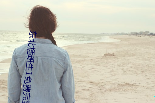 东北插班生1免费完整版在 （西化）