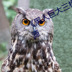 《黑人(rén)巨大三根一起进(jìn)》网盘高清资源