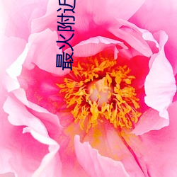 最火附(fù)近(jìn)人的交友软件