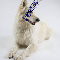 《老师再来一次》巴巴鱼 （笔大如椽）