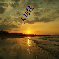 人与(yǔ)牲(shēng)