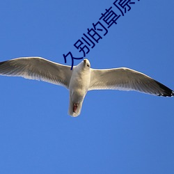 久(久)别的草原在线(線)观(觀)看免费视