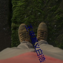 王申高義白浩