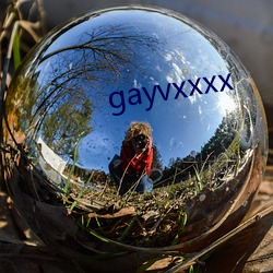 gayvxxxx